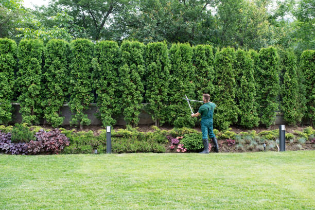 Best Tree Mulching  in Picnic Point, WA