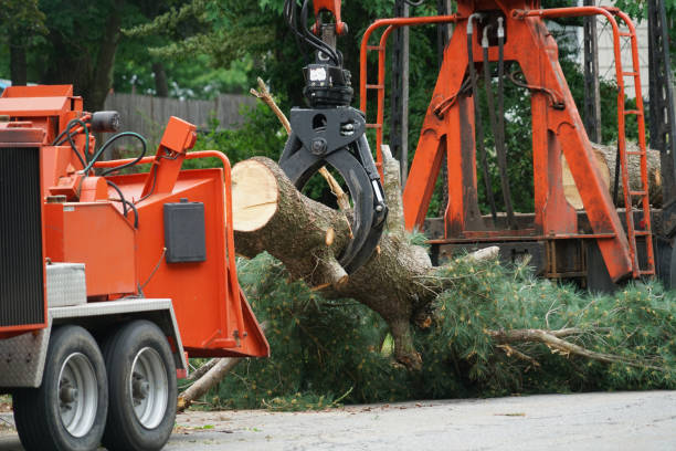 Best Lawn Watering Services  in Picnic Point, WA